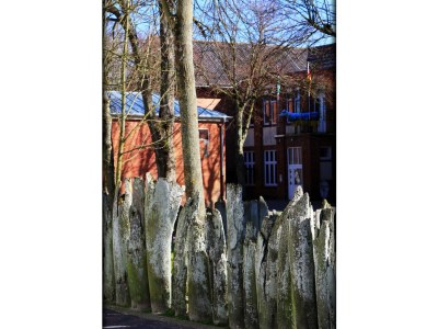 Holiday apartment Kiebitzwiese - Environment photo 24