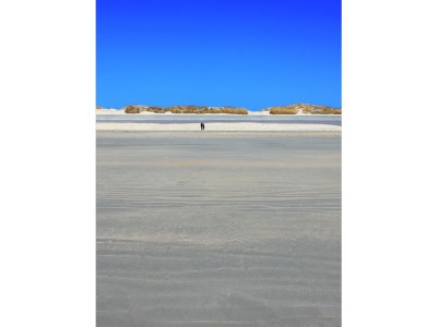 Holiday apartment Kiebitzwiese - Environment photo 26