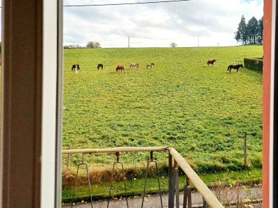 Apartment 7-Bett-Ferienhaus Hedwig - Features photo 13