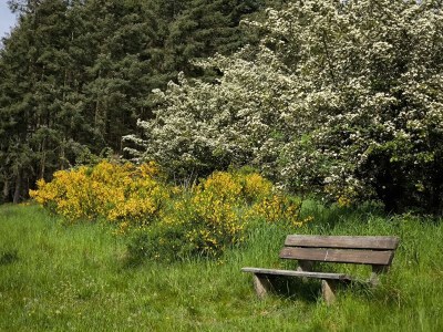 Apartment 4-Bettwohnung Nürburg - Outdoor photo 13