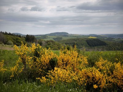 Apartment 4-Bettwohnung Nürburg - Outdoor photo 14
