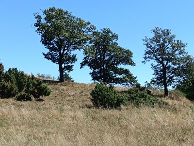 Apartment 4-Bettwohnung Nürburg - Outdoor photo 15