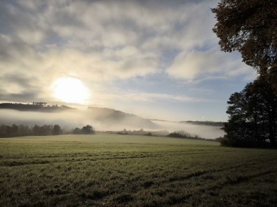 Apartment 4-Bettwohnung Nürburg - Outdoor photo 18