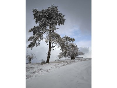 Apartment 4-Bettwohnung Nürburg - Outdoor photo 21