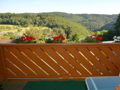 Apartment 4-Bettwohnung Nürburg - Features photo 23