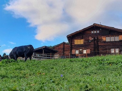 Holiday apartment Gspon-Ferienwohnung M. Schmid - Outdoor photo 8