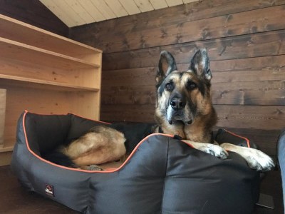 Holiday apartment Gspon-Ferienwohnung M. Schmid - Features photo 14