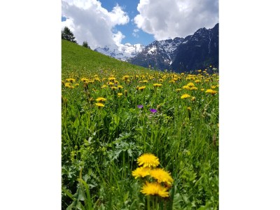 Holiday apartment Gspon-Ferienwohnung M. Schmid - Environment photo 30