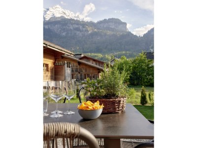 Chalet My Chalet Engelhornblick - Outdoor photo 7