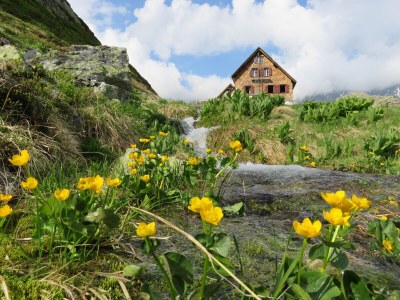 Chalet My Chalet Engelhornblick - Environment photo 34