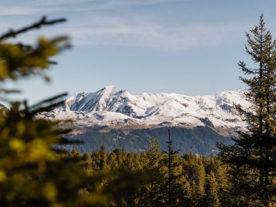 Chalet My Chalet Engelhornblick - Environment photo 35