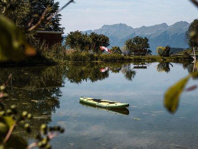 Chalet My Chalet Engelhornblick - Environment photo 39