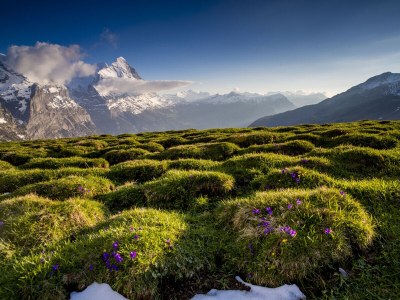 Chalet My Chalet Engelhornblick - Environment photo 40