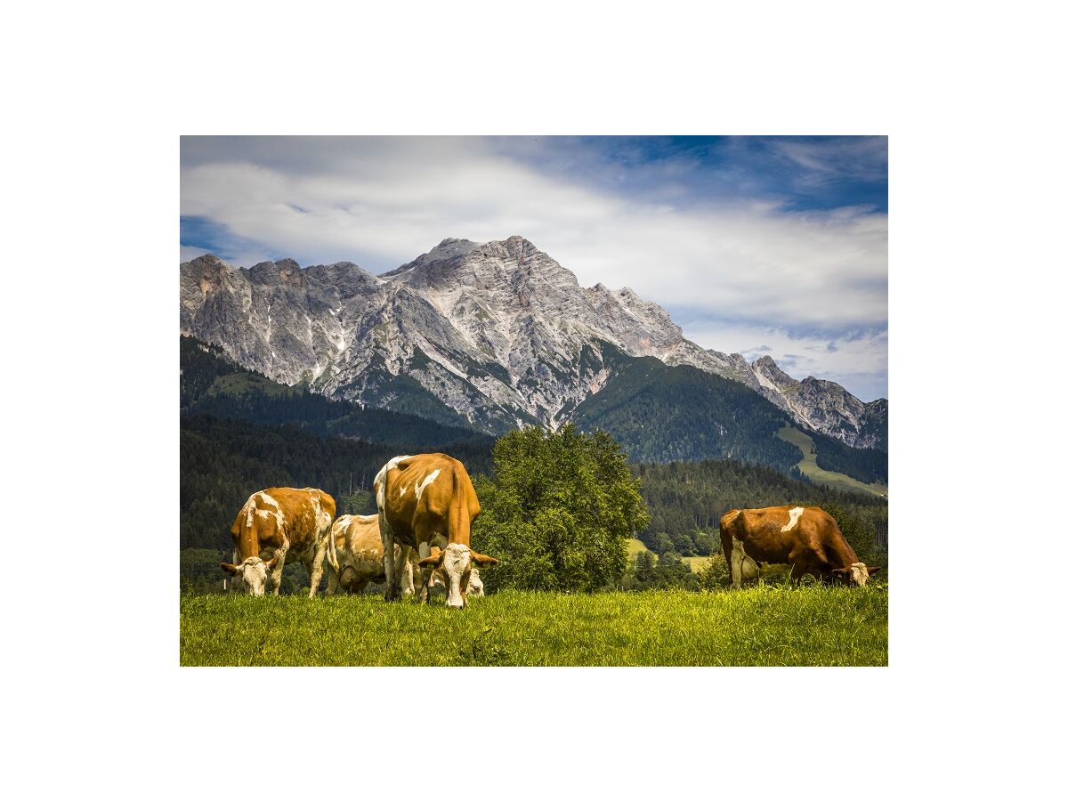 Holiday apartment Oberlettlhof - Outdoor photo 3