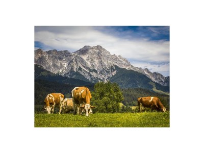 Holiday apartment Oberlettlhof - Outdoor photo 3