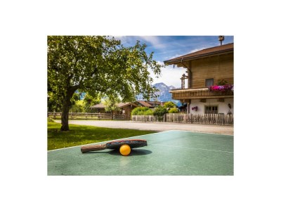 Holiday apartment Oberlettlhof - Environment photo 11