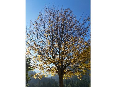 Apartment Ferienwohnung HEIMET - Outdoor photo 30