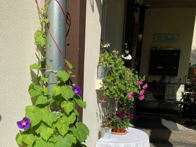 Holiday apartment Deli106 - Outdoor photo 3