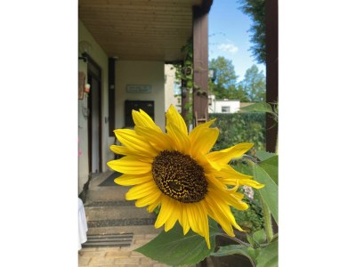 Holiday apartment Deli106 - Outdoor photo 8