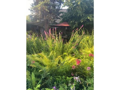 Holiday apartment Deli106 - Outdoor photo 11