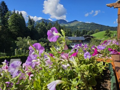 Apartment Ferienwohnung Rotache - Outdoor photo 10