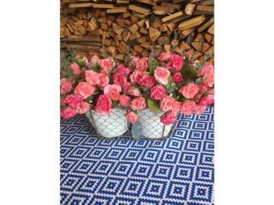 Apartment Studio "Holunderblüten" - Features photo 20