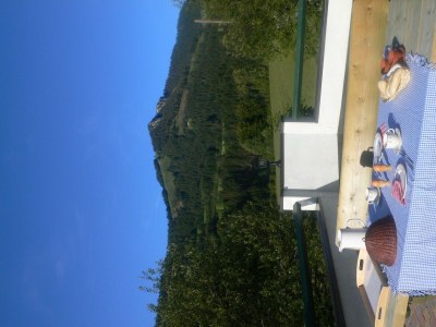 Apartment Studio "Holunderblüten" - Features photo 22