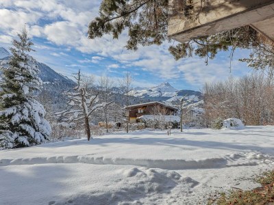 Apartment Appartement am Schloßberg - Features photo 23
