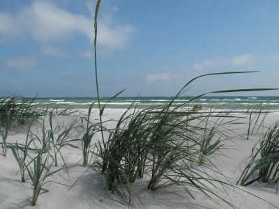 Holiday apartment House Kormoran 4 - Environment photo 27