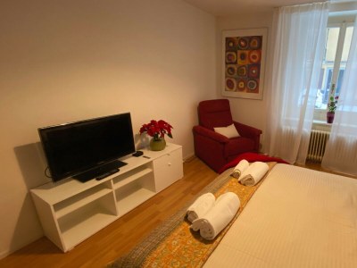 Apartment Hilda in Zurich - Apartment