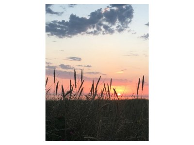 Holiday apartment Swart - Environment photo 16