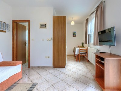 Apartment Nino with Shared Pool - One-Bedroom  A3 with Terrace - Features photo 14