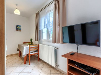 Apartment Nino with Shared Pool - One-Bedroom  A3 with Terrace - Features photo 15