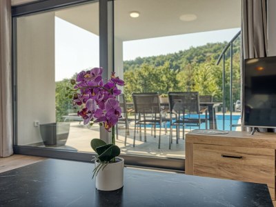 Villa - Villa Nono Spinovci - Outdoor photo 4