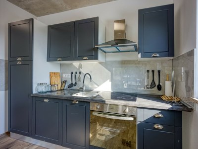 Villa - Villa Nono Spinovci - Features photo 12