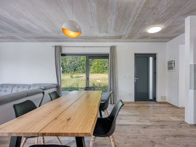 Villa - Villa Nono Spinovci - Features photo 19