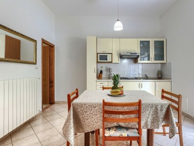 Apartment Nino with Shared Pool - One-Bedroom A4 with Terrace - Features photo 10