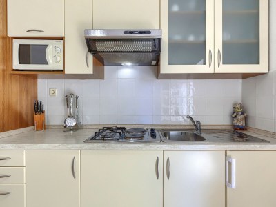 Apartment Nino with Shared Pool - One-Bedroom A4 with Terrace - Features photo 14