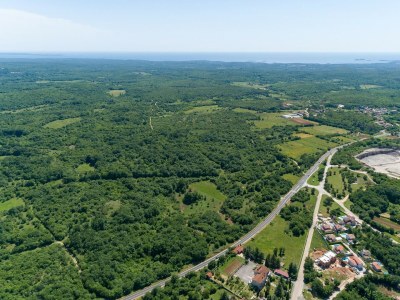 Villa - Villa Miriam - Environment photo 38