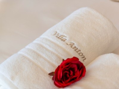 Villa - Luxury Villa Anton with Spa&Wellnes - Features photo 39