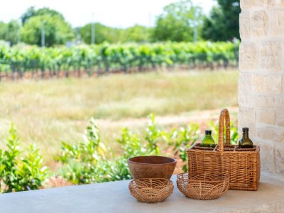 Villa - Lazy Olive - Features photo 20