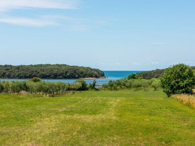 Villa - Lazy Olive - Environment photo 47