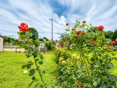 Holiday house - Cottage My Peace - Features photo 20