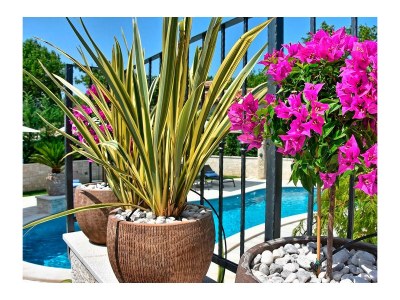 Villa - Villa Zita with Pool and Wellness - Outdoor photo 7