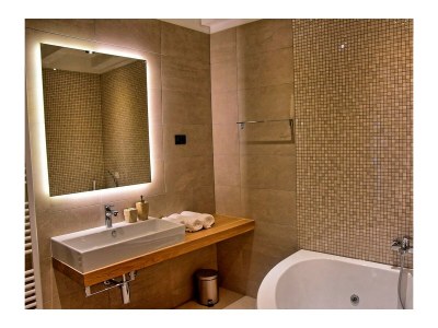 Villa - Villa Zita with Pool and Wellness - Features photo 20