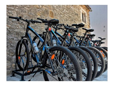 Villa - Villa Zita with Pool and Wellness - Features photo 33