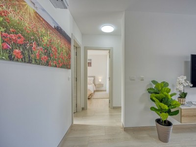 Apartment - Luxury Apartment LIGHT - Features photo 18