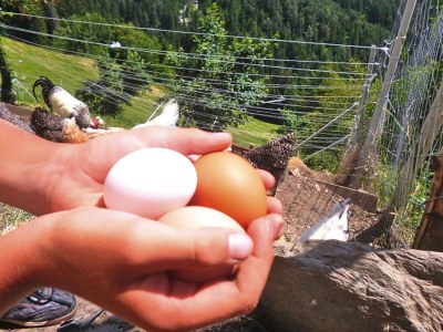 Apartment Chalet in Funes Valley with Dolomites Views - Environment photo 19
