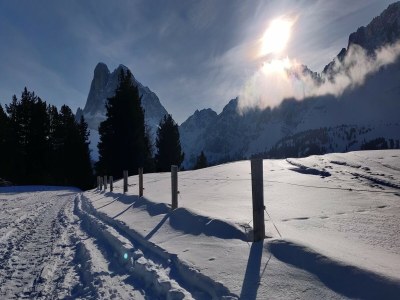 Apartment Chalet in Funes Valley with Dolomites Views - Environment photo 21