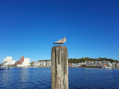 Apartment Stilvoller Aufenthalt im Erdgeschoss - Environment photo 35